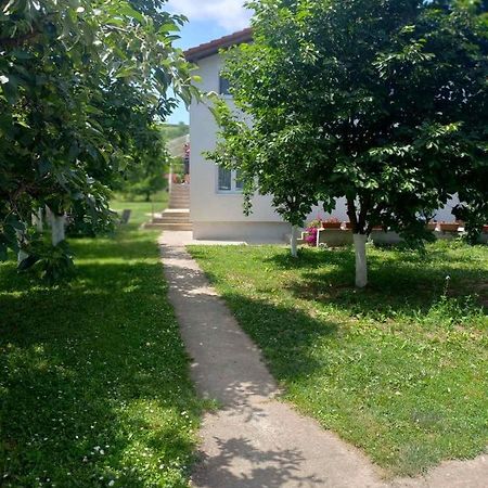 Apartman Flora Vrdnik Extérieur photo