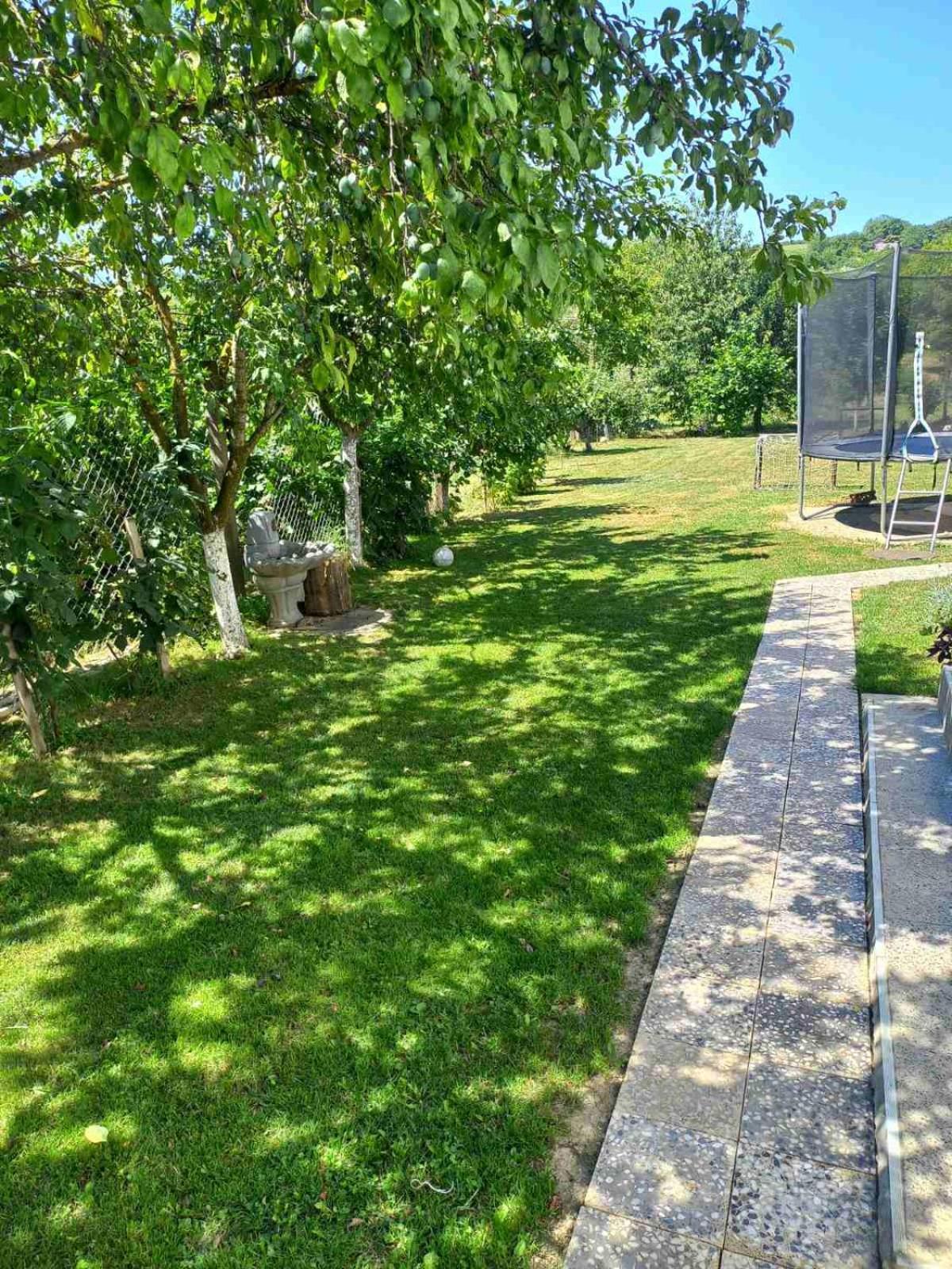 Apartman Flora Vrdnik Extérieur photo